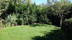 giardino2