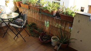 balcone