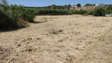 Santa Marinella Terreno di 3200mq