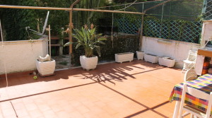 giardino new