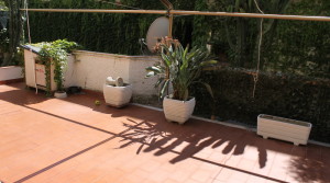giardinonew2