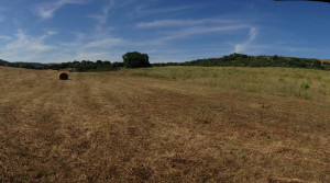 panoramica1