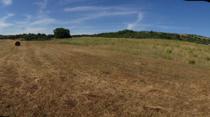 panoramica2