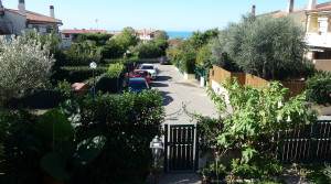 vista
