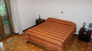 camera1
