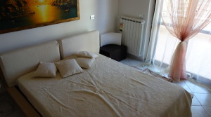 camera1