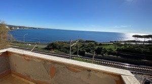 IMG_7032