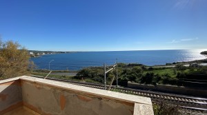 IMG_7035