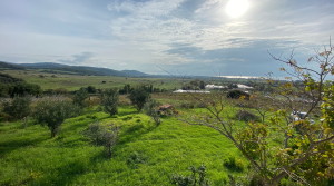 vista