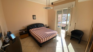 camera 1C