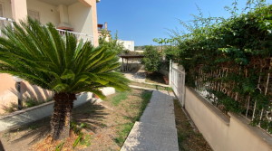 giardinoA