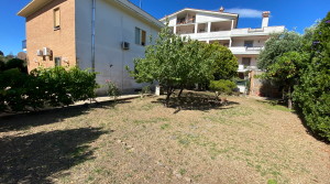 giardinoA