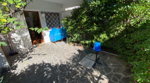 giardino C
