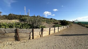 terreno10