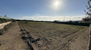 terreno11