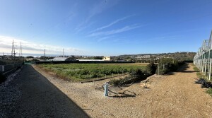 terreno13