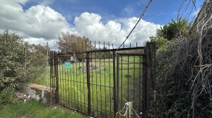 ingresso terreno